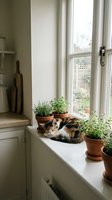 Tabby and white cat relaxing on sunny windowsill surrounded by potted herbs and plants, natural daylight streaming through large windows overlooking garden, cozy home interior design.