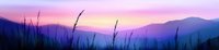 Serene mountain landscape at dawn with tall grass silhouettes against purple and pink sky. Peaceful nature scene for meditation, wellness and outdoor adventure concepts.