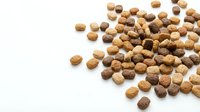 Scattered coriander seeds on white background isolated for culinary design and cooking projects.