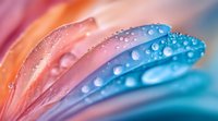 Macro shot of flower petals with morning dew drops in vibrant coral pink and turquoise blue colors creating dreamy abstract natural background with bokeh effect.