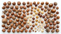 Assorted nuts collection including walnuts, almonds, hazelnuts, pecans and cashews arranged on white background for healthy snacking and cooking ingredients.