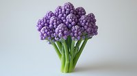 Fresh purple broccoli bunch with bright green stems standing upright on light background, organic healthy vegetable for cooking and nutrition.