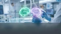 Scientist in laboratory examining holographic brain projections showing logical and intuitive hemispheres, representing neuroscience research and cognitive analysis.
