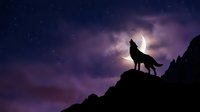 Wolf howling at full moon on mountain peak under starry purple night sky with dramatic clouds for wilderness and nature themes.