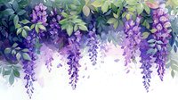 Cascading purple wisteria flowers with green leaves on white background, watercolor style botanical illustration for spring season decoration and floral design.