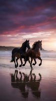 Two wild horses galloping on wet beach sand with dramatic purple sunset sky and ocean waves creating stunning reflections for equestrian and nature themes.