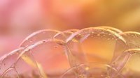 Abstract soap bubbles with warm pink and golden tones creating dreamy bokeh effect for relaxation and wellness concepts.