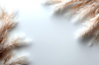 Delicate pampas grass framing corner on light background, soft beige dried flowers creating minimal composition for wedding stationery and design.