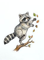 Playful raccoon standing on branch with falling autumn leaves, isolated on white background. Perfect for children's books, nursery decor, and apparel design.
