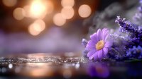 Purple daisy flower with lavender sprigs on reflective surface against soft bokeh background, creating dreamy romantic atmosphere with golden light effects.
