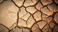 Cracked dry earth surface showing drought conditions with deep fissures in parched soil. Natural texture pattern for environmental and climate change concepts.