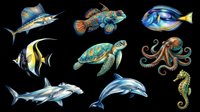 Saltwater fish and marine animals isolated on transparent background, ready for t-shirt design, clipart, stickers, sublimation and print-on-demand products.