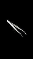 Stainless steel curved tweezers isolated on transparent background, ready for design use in clipart, print on demand, stickers, sublimation, and t-shirt design.