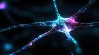 Glowing neuron cell with dendrites and axons in blue and purple colors against dark background showing neural network connectivity and brain activity.