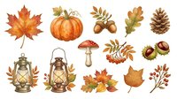 Autumn harvest collection with maple leaf, pumpkin, acorns, oak leaves, pinecone, lanterns, mushroom, rowan berries, and chestnut isolated on white background for seasonal design projects.