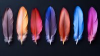 Colorful feathers arranged in row on dark background - purple, orange, red, blue, pink shades. Isolated decorative plumes for craft and design projects.
