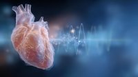 Anatomical heart with glowing pulse wave visualization on dark blue background showing cardiac rhythm and medical monitoring concept for healthcare.