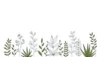 Botanical border with green and gray plants, leaves, and branches on white background for nature designs and organic branding projects.