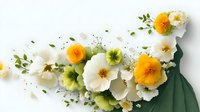 Delicate white, yellow and green poppies with scattered petals and leaves create an elegant floral arrangement on white background, suitable for wedding designs.