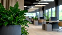 Green peace lily plant in modern gray planter against blurred contemporary open office space background with natural lighting and minimalist workspace design.