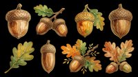 Acorns and oak leaves isolated on transparent background, ready for t-shirt design, clipart, stickers, sublimation and print-on-demand products.