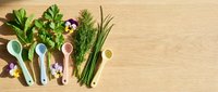 Fresh herbs and spices arranged with wooden spoons on natural wood background for culinary cooking and seasoning recipes.