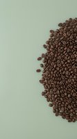 Roasted coffee beans arranged on soft sage green background with copy space, suitable for cafe branding and beverage marketing materials.