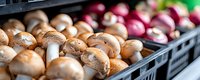 Fresh brown button mushrooms and red onions in plastic crates at farmers market, close up view with selective focus on raw organic produce.