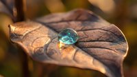 Turquoise water droplet resting on brown autumn leaf with detailed veins, macro photography showcasing nature's delicate balance and seasonal beauty.
