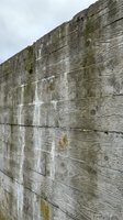 Weathered wooden wall with moss and lichen growth showing natural aging and decay patterns on rustic timber construction material.