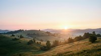 Misty rolling hills with golden sunrise light breaking through fog over green meadows and scattered trees in rural countryside landscape.