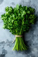 Fresh bunch of green parsley tied with twine on gray textured background. Vibrant herbs captured from above showing stems and leaves in natural lighting.