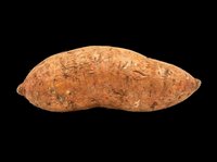 Sweet potato isolated on transparent background, ready for food design, clipart, stickers, print on demand, sublimation, and T-shirt design use.