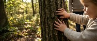 Young child with blonde hair touching tree bark in sunlit forest, connecting with nature during outdoor exploration and environmental education activities.