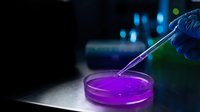 Laboratory scientist in blue gloves using pipette to drop green chemical solution into purple liquid in petri dish for research experiment.