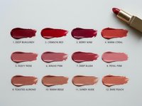 Lipstick color palette swatches showing twelve different shades from deep burgundy to soft pink with golden tube on white background.