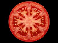 Tomato slice cross section isolated on transparent background, ready for culinary design, recipe graphics, food packaging, t-shirt prints, stickers, and print-on-demand products.