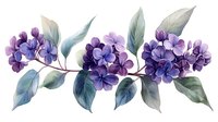 Delicate purple hydrangea branch with soft blue-green leaves in watercolor style, isolated on white background for floral design and decoration purposes.