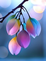 Delicate flower buds in pastel pink and blue tones against soft bokeh background, creating dreamy spring atmosphere for nature and garden photography.
