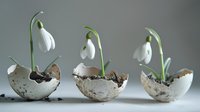 Delicate snowdrops growing in decorative eggshells with soil, creating unique natural composition for spring home decor and gardening concepts.