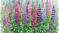 Watercolor lupine flowers in vibrant pink and purple hues with green foliage, botanical garden scene for spring decorating and floral design projects.