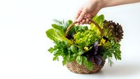 Fresh organic herbs and leafy greens in wicker basket held by hand on white background for healthy cooking and natural nutrition concepts.