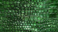 Emerald green crocodile skin texture with detailed scales and natural pattern showing luxurious leather surface with glossy finish. Suitable for fashion and luxury design projects.