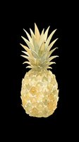 Watercolor pineapple isolated on transparent background, ready for t-shirt design, stickers, clipart, print on demand, and sublimation projects.
