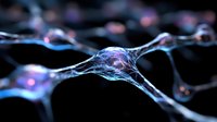 Glowing neural network visualization with blue and pink light effects showing synaptic connections and nodes in dark background for scientific concept.