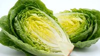Fresh green cabbage cut in half showing crisp white interior and layered leaves on white background isolated for healthy cooking designs.