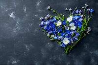 Heart shaped arrangement of fresh blue delphinium and white flowers on dark gray stone background with copy space for romantic message or greeting card.