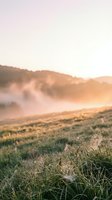 Dewy spider webs glistening on grass in misty valley at sunrise, with rolling hills and fog-covered landscape creating serene morning atmosphere for nature and wellness content.