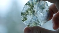 Natural moss agate slice held against bright light showing intricate green dendrite patterns and translucent crystalline structure for geology study.