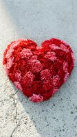 Red carnation flowers arranged in heart shape on concrete ground for Valentine's Day romance celebration and love expression.